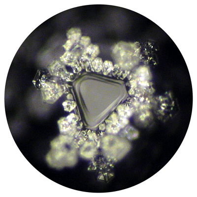 emoto water crystal vitajuwel gem water